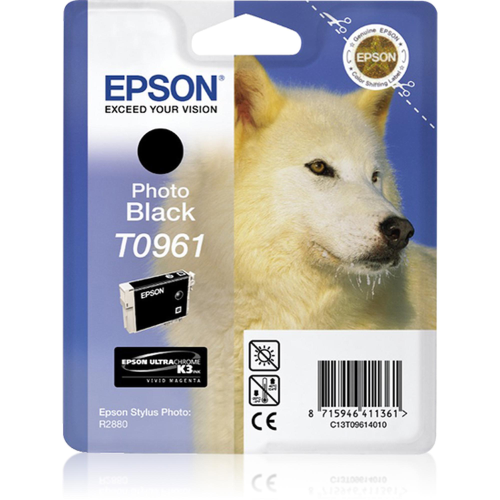 EPSON T0961 CARTUCCIA INKJET NERO PER R2880